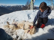 74 il fresco della neve !